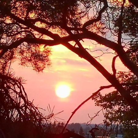 Charming Pine View Apartment วานตา ภายนอก รูปภาพ