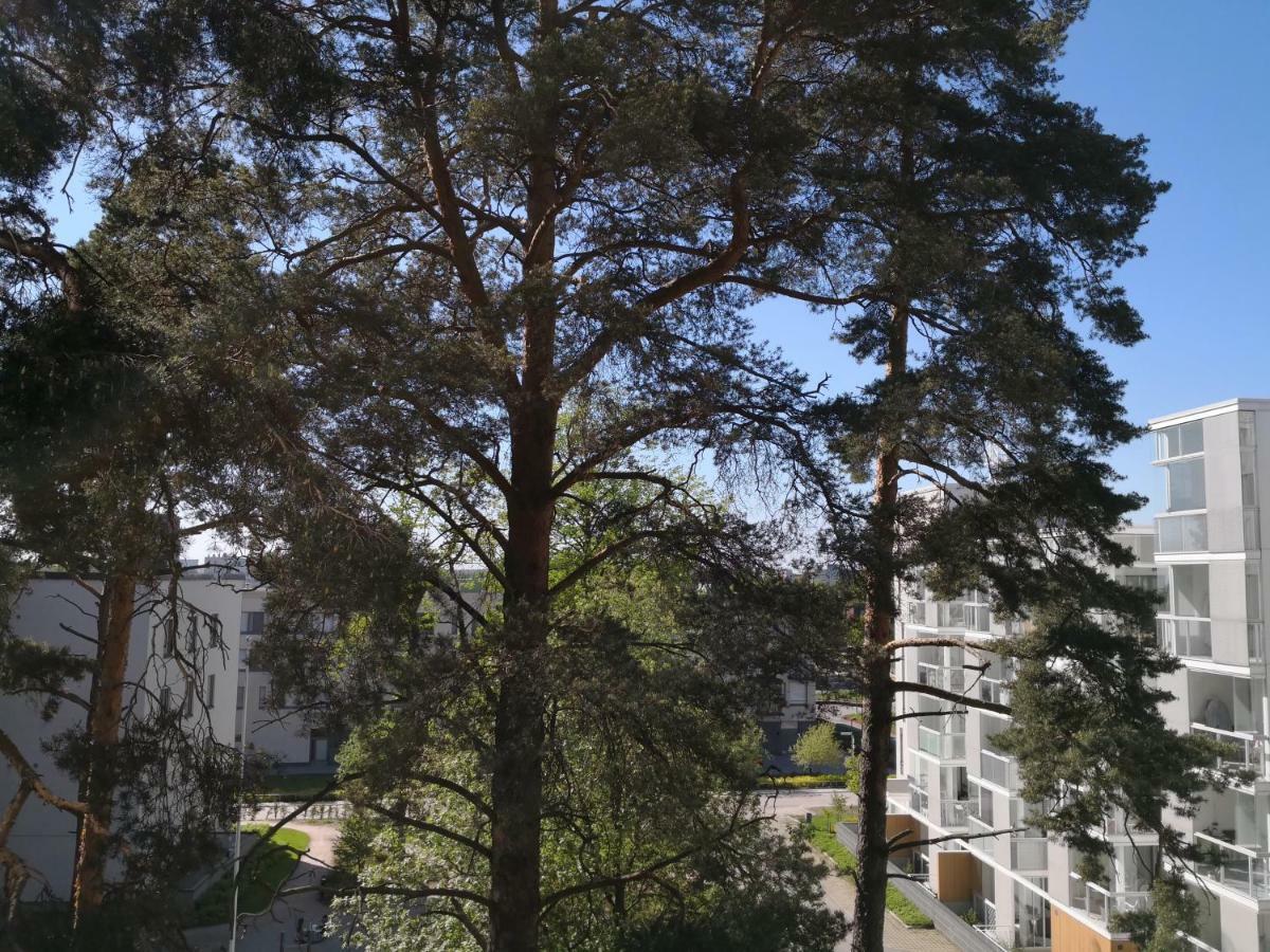 Charming Pine View Apartment วานตา ภายนอก รูปภาพ